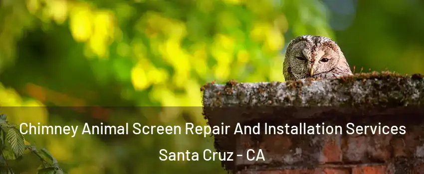  Chimney Animal Screen Repair And Installation Services Santa Cruz - CA
