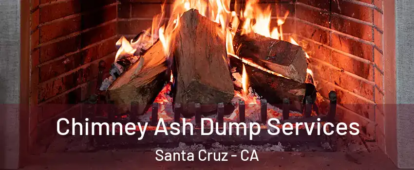  Chimney Ash Dump Services Santa Cruz - CA