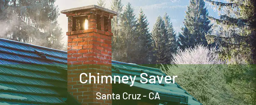  Chimney Saver Santa Cruz - CA