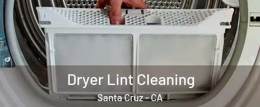  Dryer Lint Cleaning Santa Cruz - CA