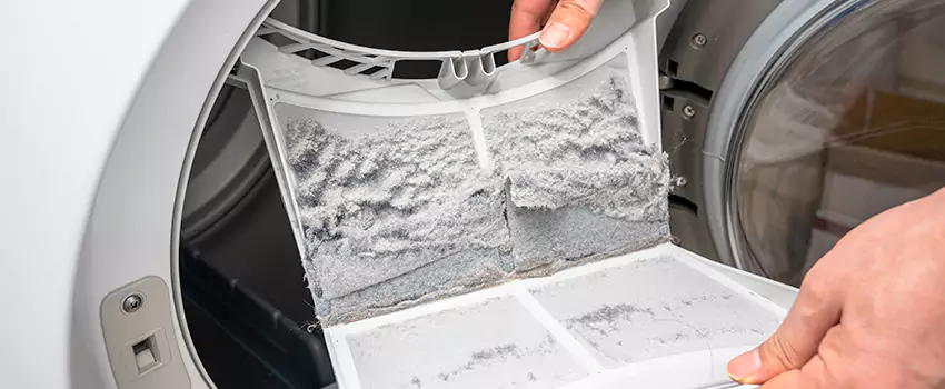 Best Dryer Lint Removal Company in Santa Cruz, California