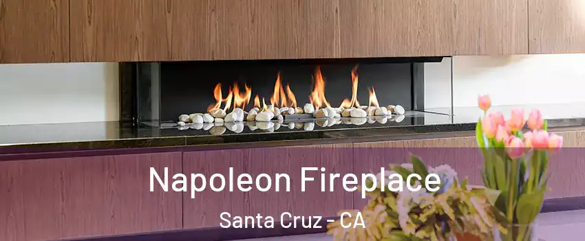  Napoleon Fireplace Santa Cruz - CA