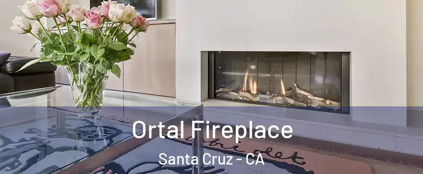  Ortal Fireplace Santa Cruz - CA